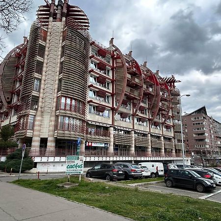 Apartamento Red Riding Hood Belgrado Exterior foto
